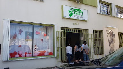 Hogar del Buen Pastor Inc facility